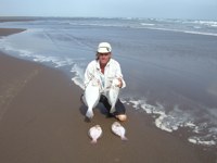 PEDRO VANKREGTEN envi� estas fotos