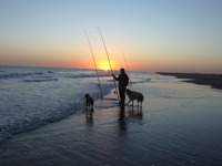 PEDRO VANKREGTEN envi� estas fotos