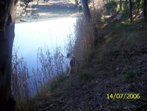 R�o Quequ�n Salado.ORIENTE